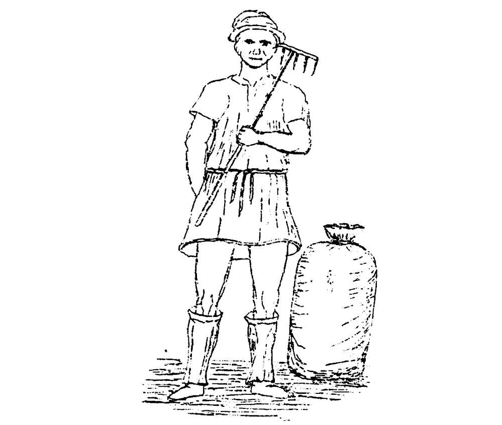 Agricola