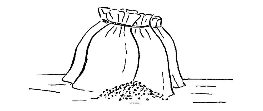 Frūmentum