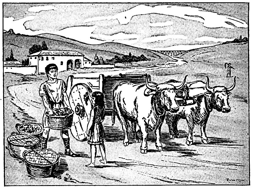 Tabula agricolārum picta