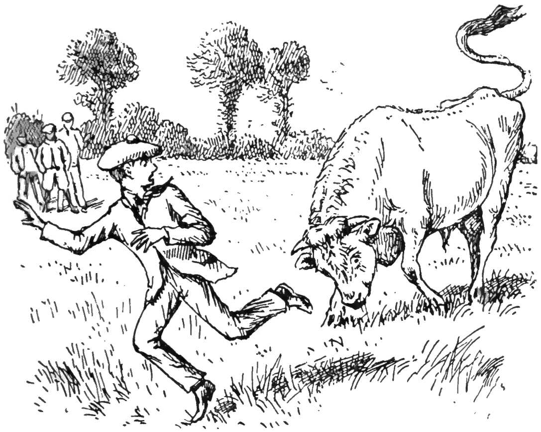 Tabula taurī Henrīcum petentis picta