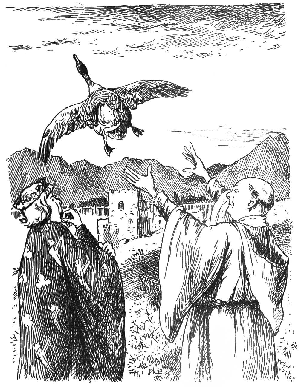 Tabula anseris volantis picta