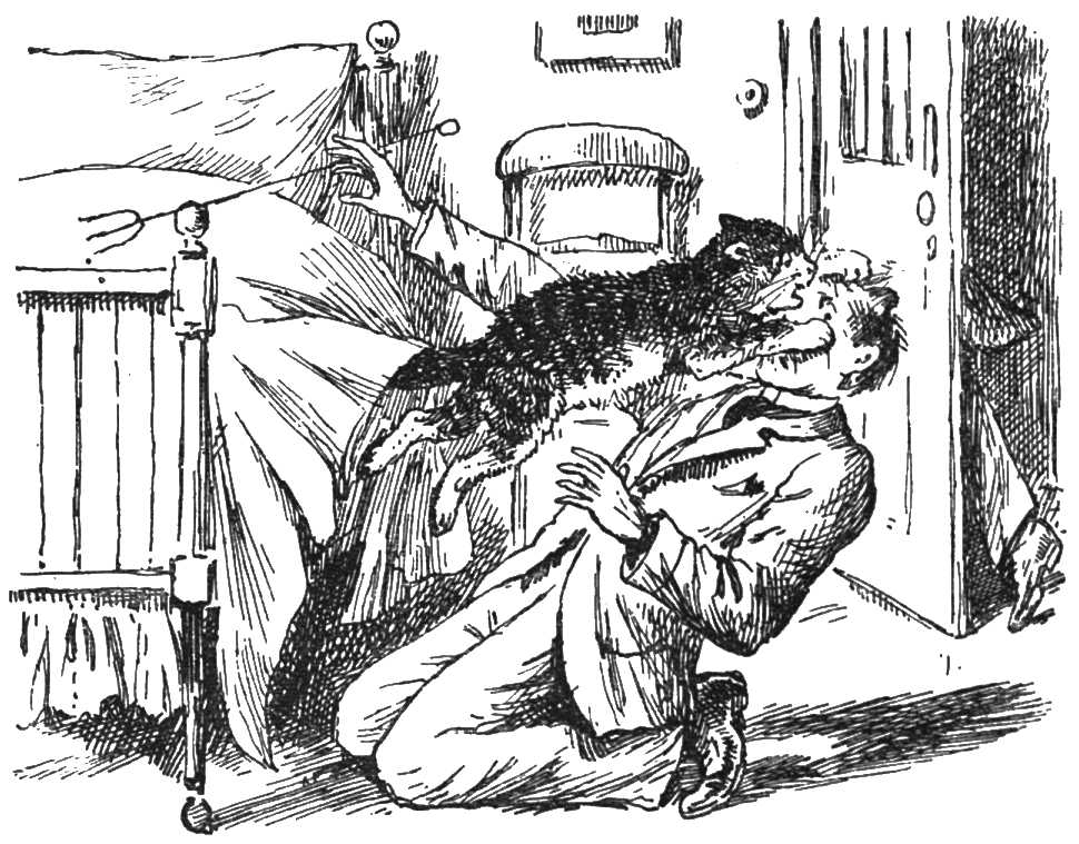 Tabula felis perfidae picta