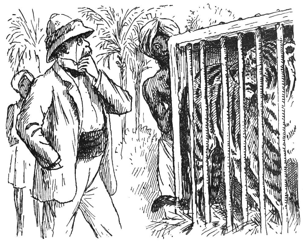 Tabula tigris in cancellis picta